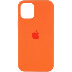 Чехол Silicone Case для iPhone 16 Pro Max Hermes Orange
