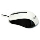 Мышка GEMBIRD MUS-101-W White - Фото 2