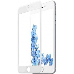 Захисне скло для iPhone 6/6S/7/8/SE (2020) White