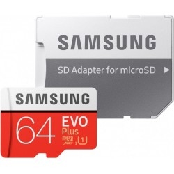 Карта памяти Samsung microSDXC 64GB EVO PLUS (R100, W20MB/s) + ad
