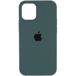 Silicone Case для Apple iPhone 13 Pro Max Pine Green