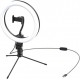 Лампа кольцевая Baseus Live Stream Holder-table Stand (25,4 см) Black (CRZB10-A01) - Фото 2