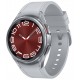 Смарт-часы Samsung Galaxy Watch 6 Classic 43mm R950 Silver (SM-R950NZSASEK) UA