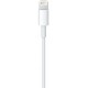 Кабель Apple USB to Lightning 1m (MD818) (OEM, no box, i6) (ARM68418) - Фото 3