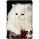 Чехол-книжка Boxface для Samsung Tab A9 8.7 X110/X115 Fluffy Cat - Фото 1