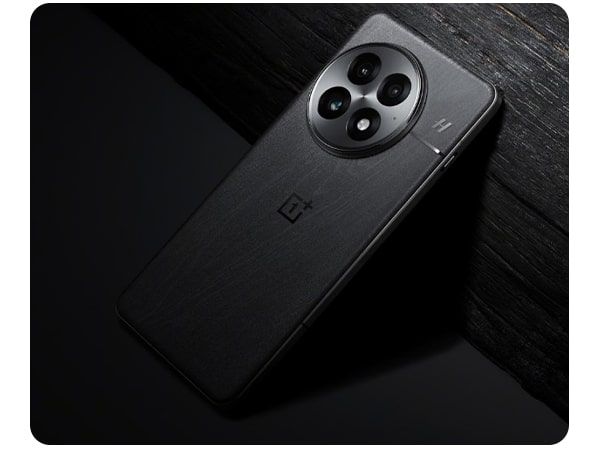OnePlus 13