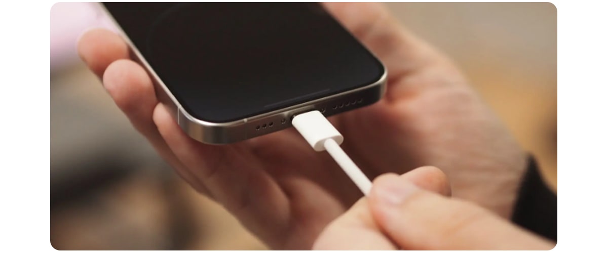 Зарядка Apple iPhone