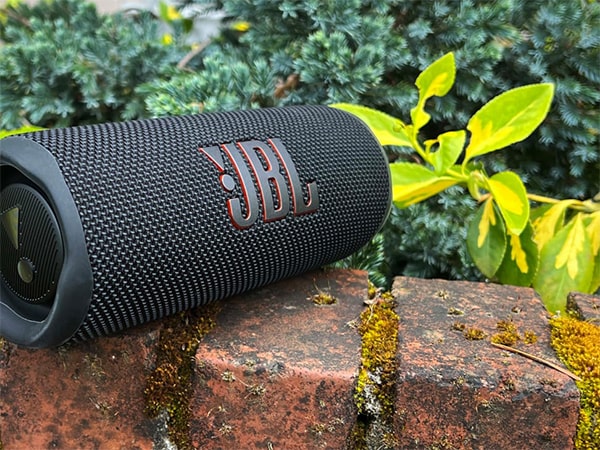 JBL Flip 6