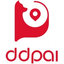 DDPai